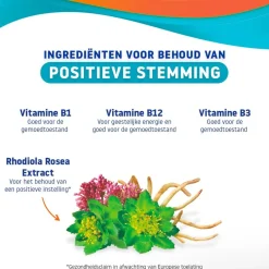 Mentaal Welzijn Positieve Stemming Dragees|Valdispert New