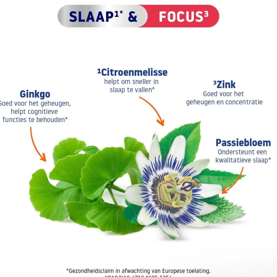 Slaap & Focus Tabletten|Valdispert New