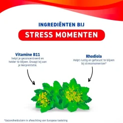 Stress Gummies|Valdispert