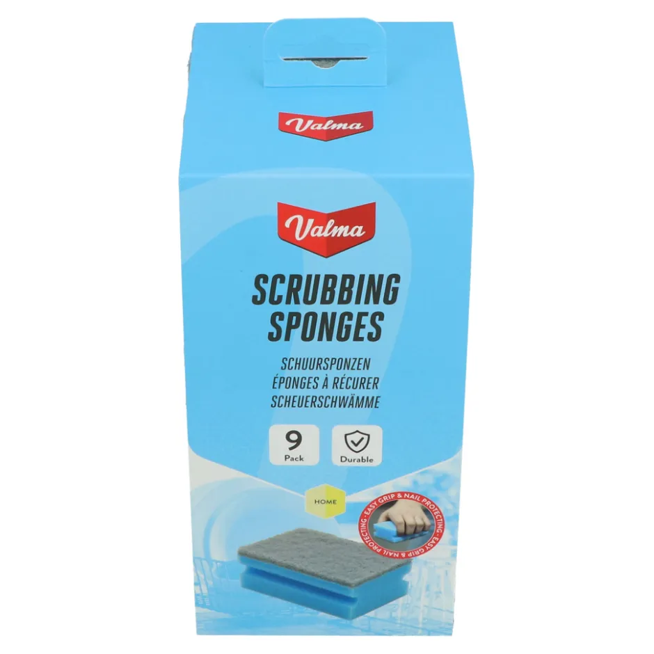 Valma Schuursponzen 9 stuks| Best