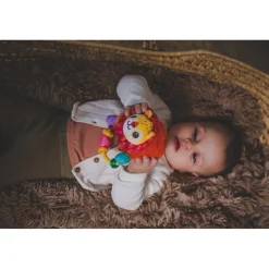 V-Tech Dierenvriendjes Rammelaar Leeuw|VTech Best
