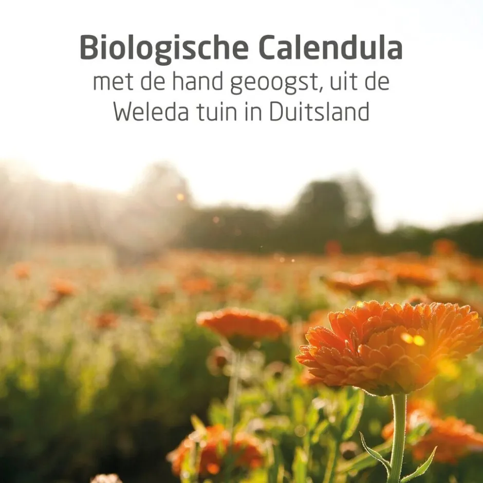 Weleda Baby Calendula Alles-in-één Balsem< Baby Huidverzorging