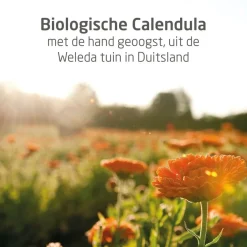 Weleda Baby Calendula Billenbalsem< Baby Huidverzorging