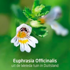 Ogentroost Oogdruppels|Weleda