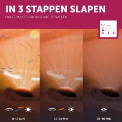 Tim de Schildpad Zonsondergang Projector|Zazu New