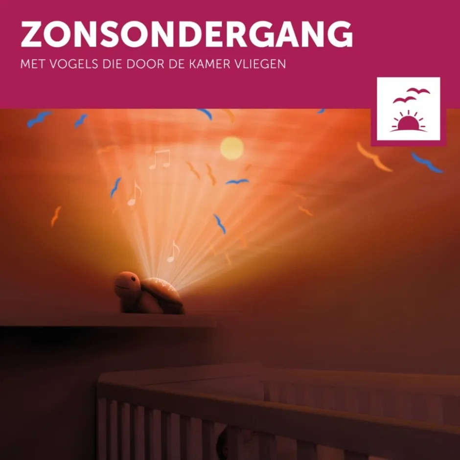 Tim de Schildpad Zonsondergang Projector|Zazu New